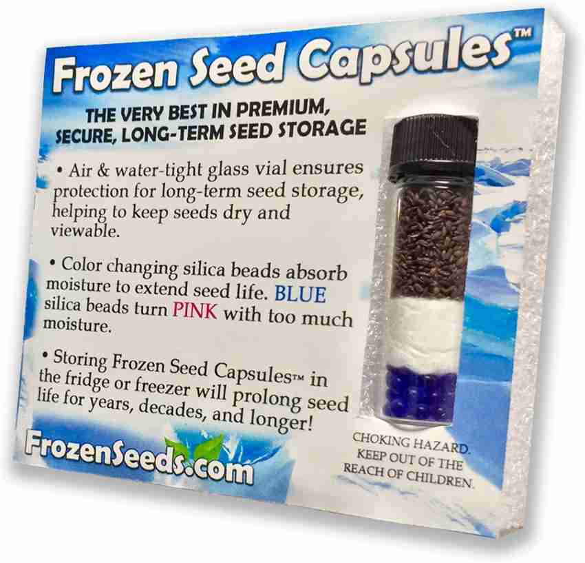 Biosnyg FROZEN SEED CAPSULES Emily Basil Seeds Ocimum