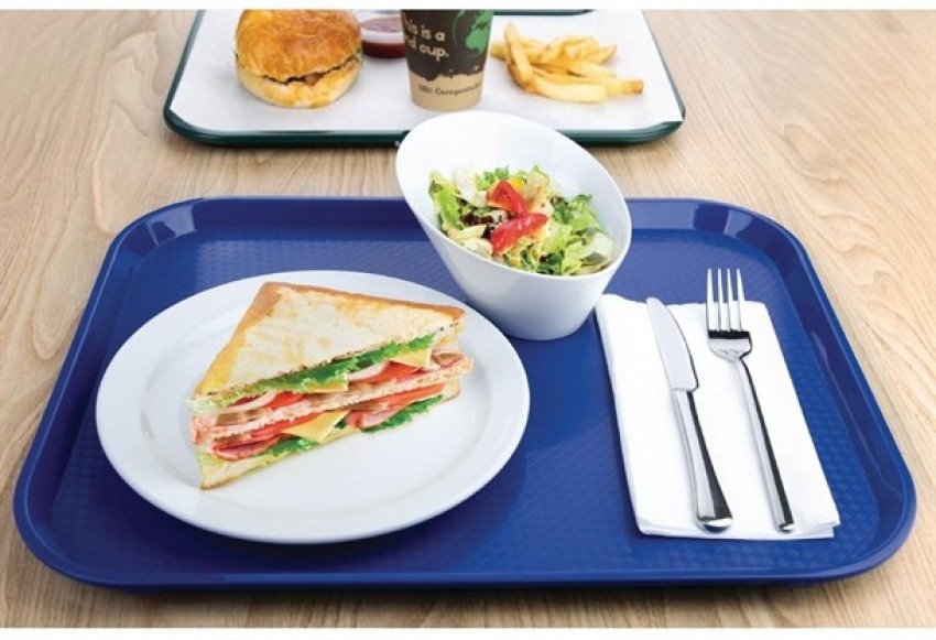 Everbuy Food Grade Plastic Trays for Kitchen (16 X 12 Inches, BLUE) Tray  Price in India - Buy Everbuy Food Grade Plastic Trays for Kitchen (16 X 12  Inches, BLUE) Tray online at