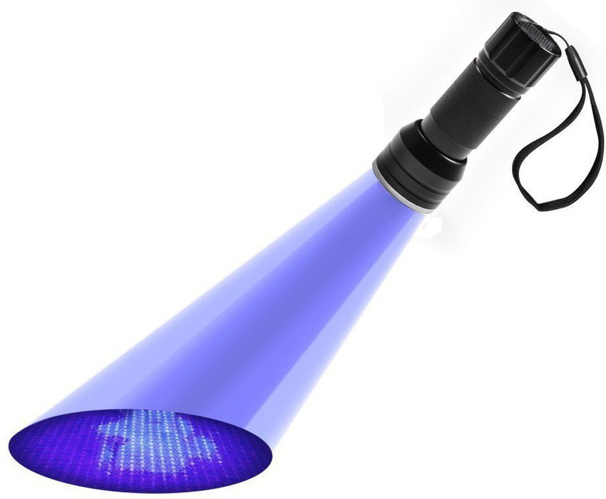 eDUST Super Bright 395nm UV Light Torch Price in India Buy eDUST Super Bright 395nm UV Light Torch online at Flipkart