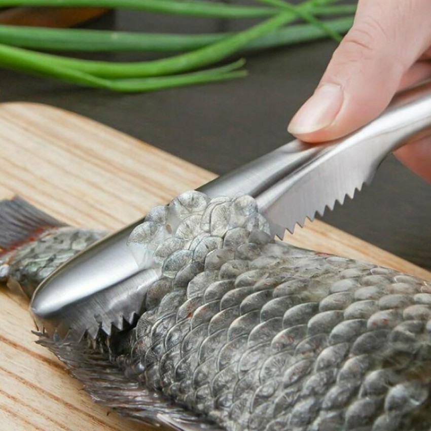 ADONIZ Stainless Steel Fish Scale Remover Peeler Fish Scaler Price in India  - Buy ADONIZ Stainless Steel Fish Scale Remover Peeler Fish Scaler online  at