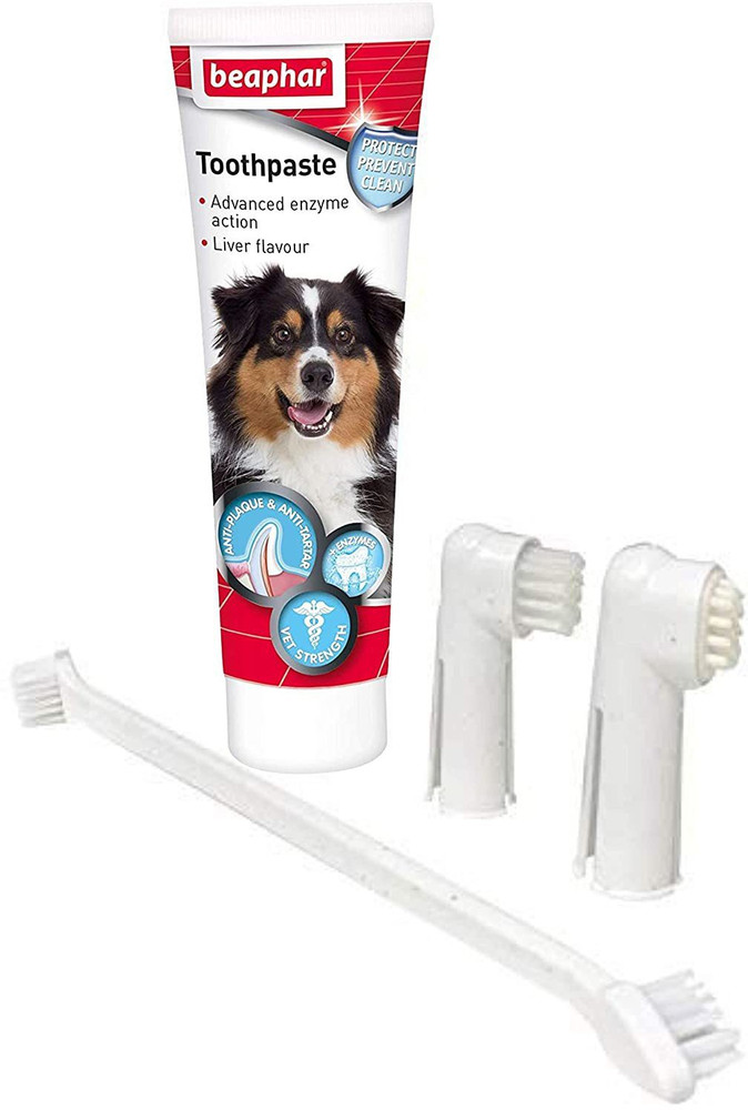 Foodie Puppies Beaphar Dental Care Kit Set for Dogs Puppies