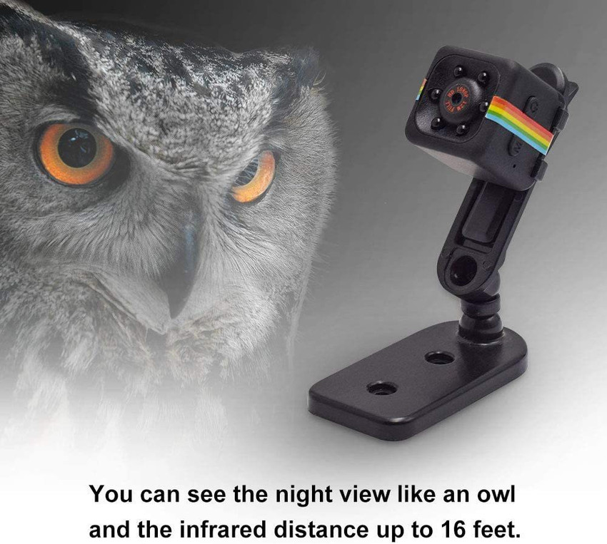 Owl nanny cam hot sale
