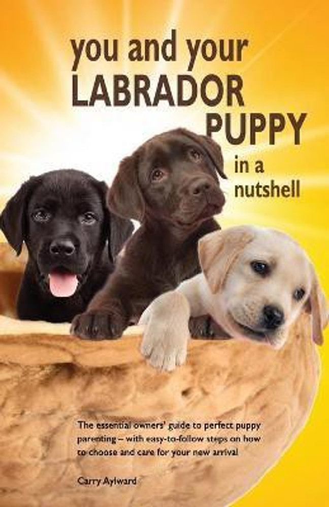 Labrador dog price in flipkart online