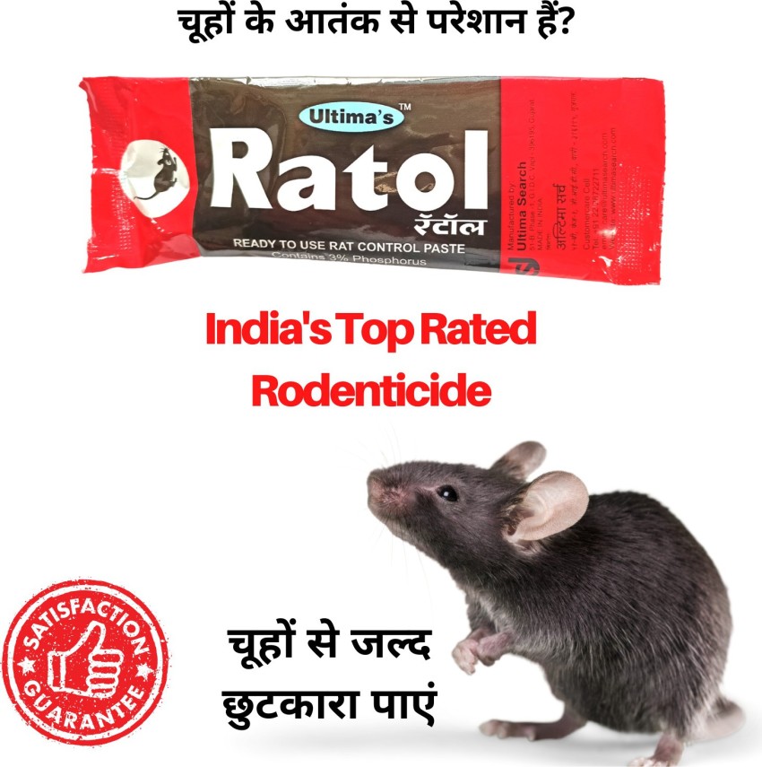 How long does rat poison take to work? - Quora