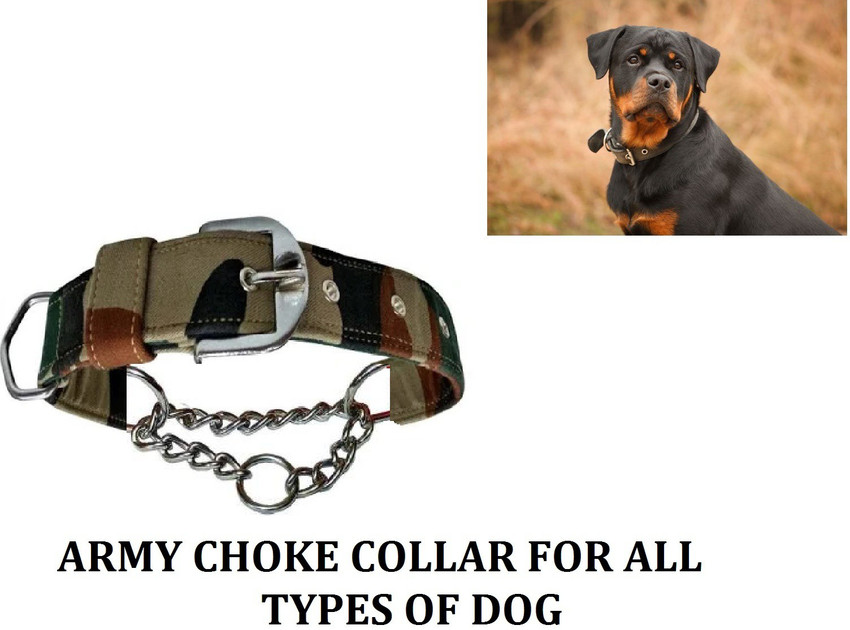 Hachiko Premium Quality Dog Army Printed Choke Collar For All