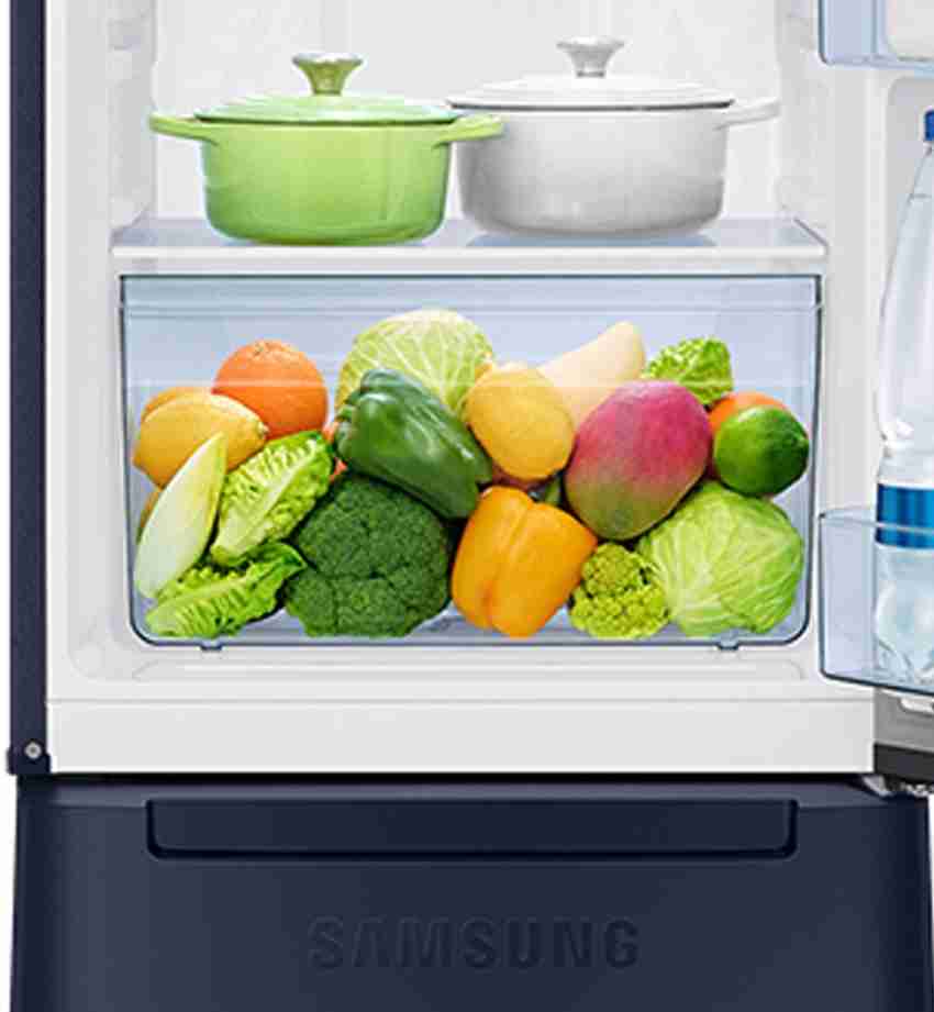 Samsung fridge top latest model 2021