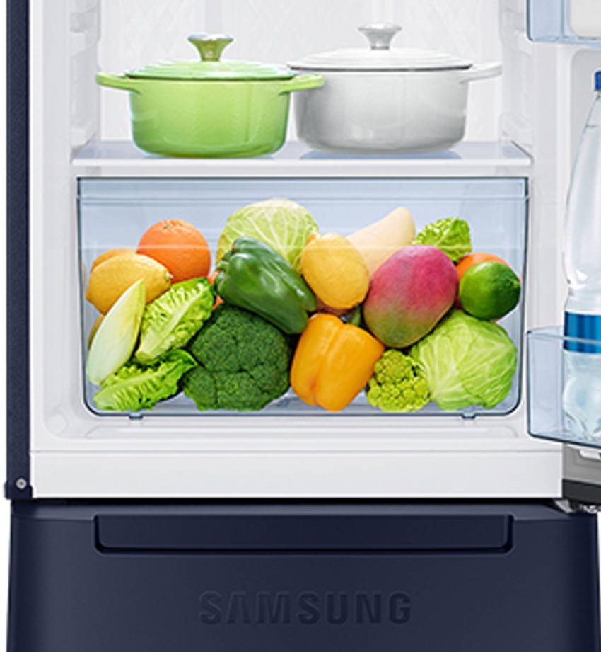 Samsung fridge 2021 shop model