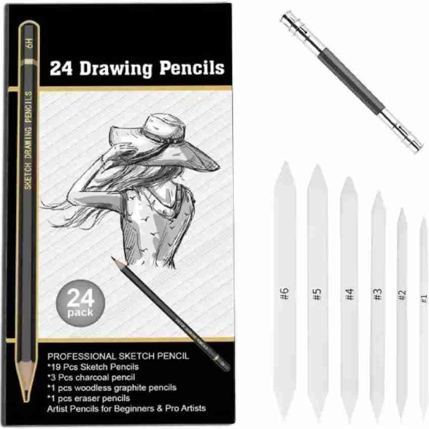 Professional Drawing Sketching Pencil Set - 12 Pieces Art Drawing Graphite  Pencils(2H-8B), Ideal for Drawing Art, Sketching, Shading, for Beginners &  Pro Artists 