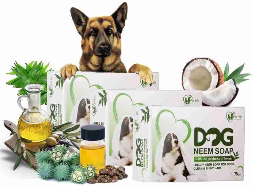 Allergy soap shop for dogs