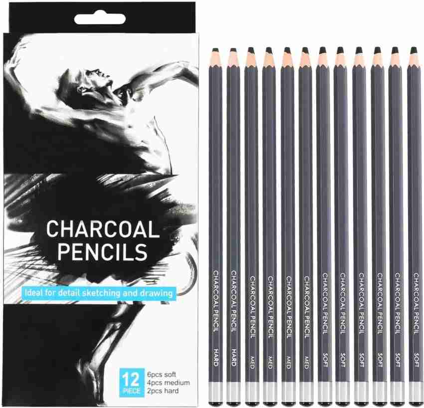 Professional Charcoal Pencils Drawing Set - MARKART 10 Pieces Colour Charcoal  Pencils for Drawing, Sketching, Shading, Blending, Sketch Highlight White  Pencils for Beginners & Artists 