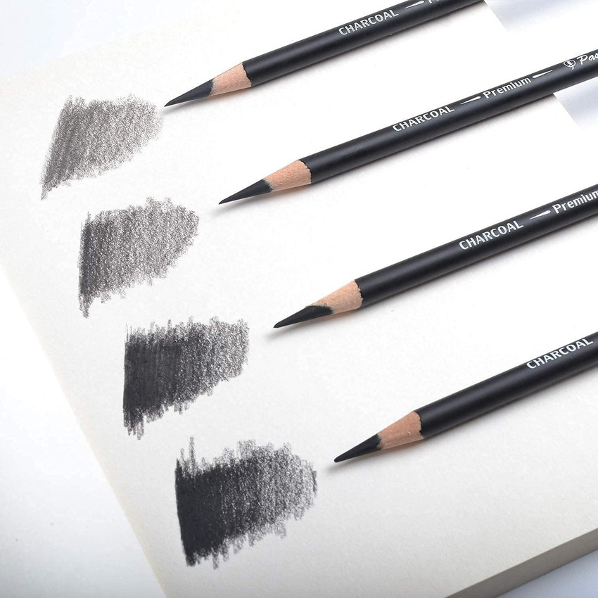Flipkart Funity Professional Charcoal Pencils Drawing Set