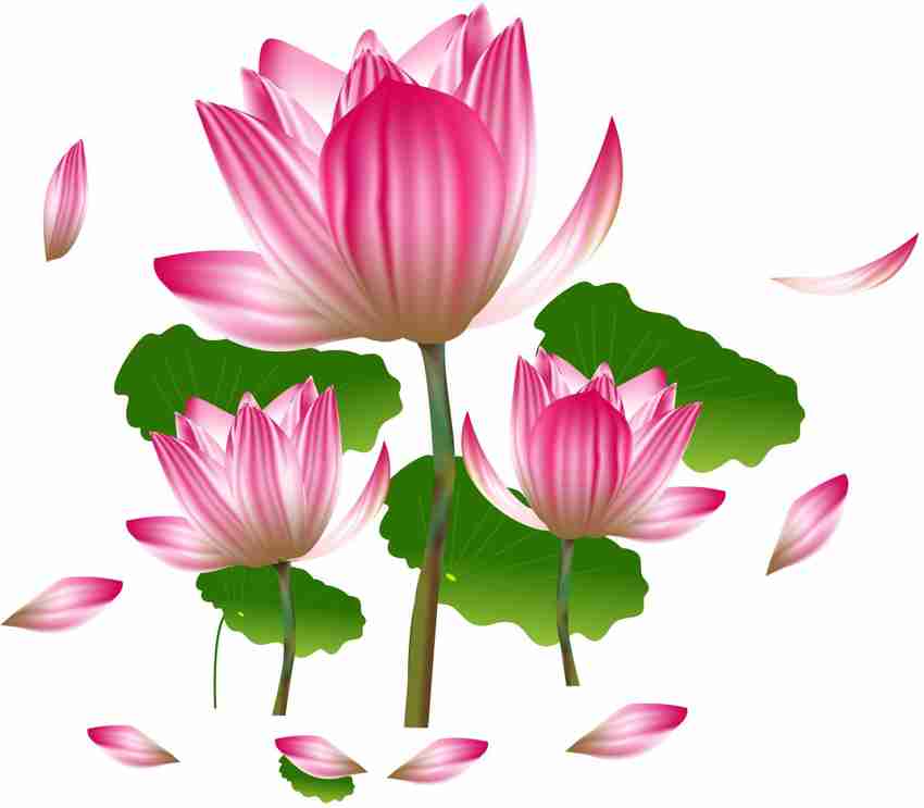 Lotus stickers 2025
