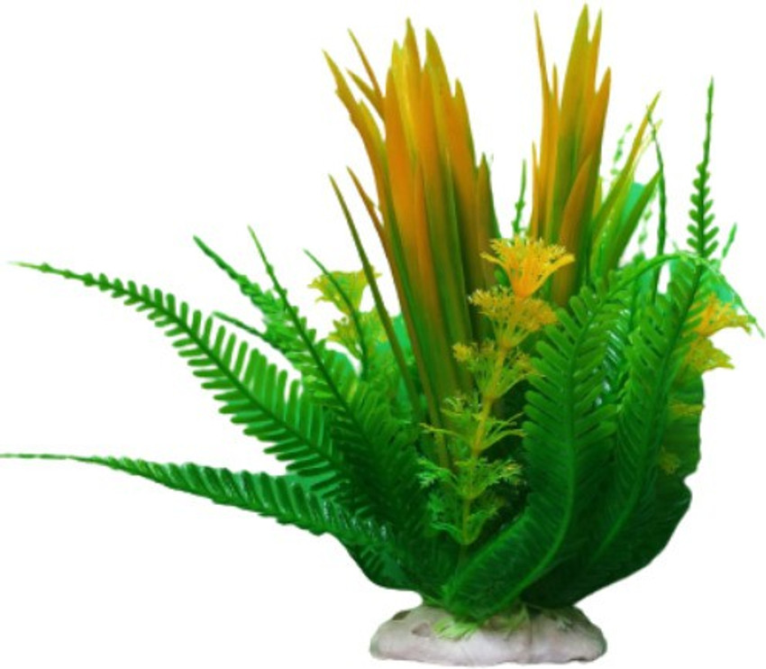 Aquarium plants hotsell pets at home