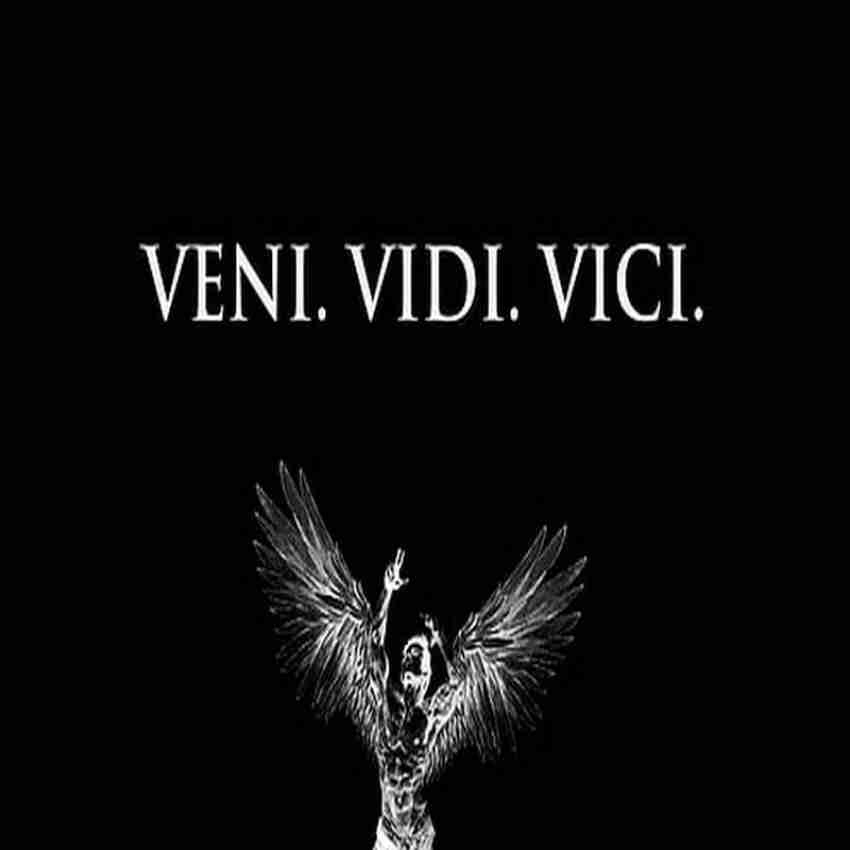 Veni Vidi Vici Minimalist