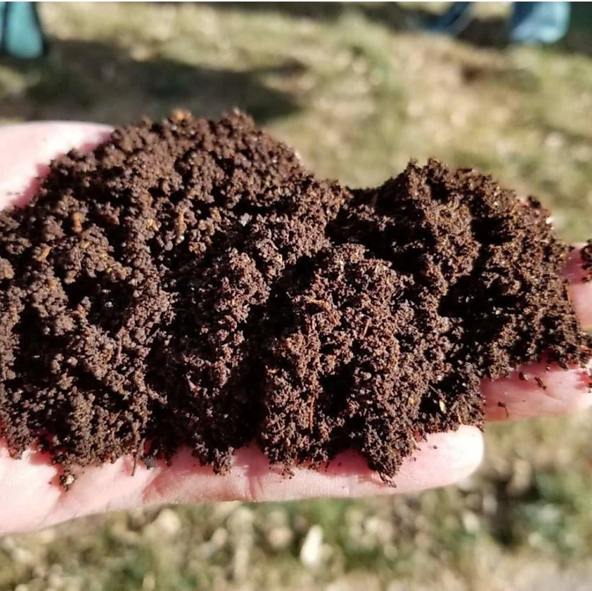 Vermicompost fertilizer deals