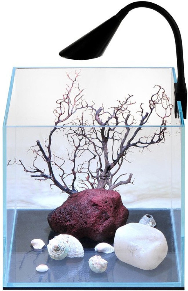 Petzlifeworld Ultra Crystal Clear Mini Fish Tank for Betta/Guppy