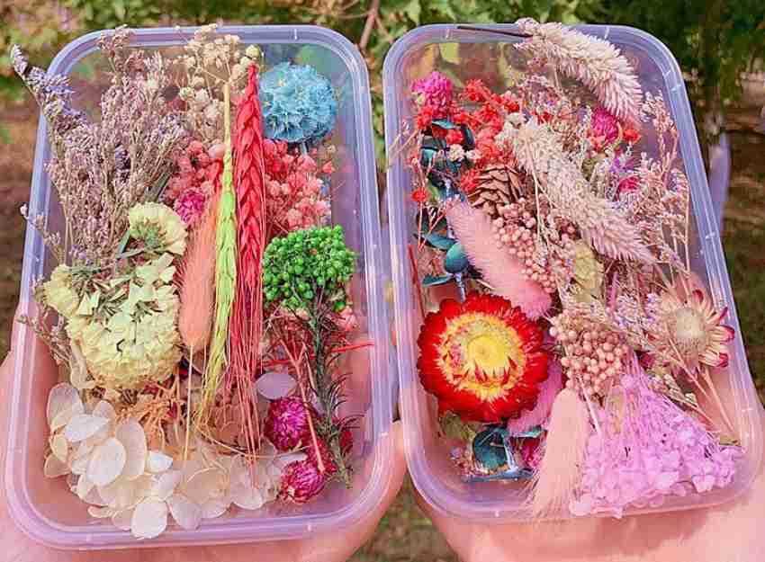 YellowCult Natural Real Dried Flowers for Art Craft - Mixed & Multicolor  for Soap, Candle, Scrapbooking, DIY, Resin Jewelry, Pendant - [1 Random  Box] Multicolor Wild Flower Artificial Flower Price in India 
