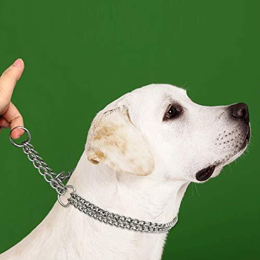 Slip chain dog collar on sale