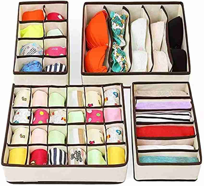 Buy Ravido Houseware Multicolor Closet Underwear Organizer (Set Of 4)  Online at Best Prices in India - JioMart.
