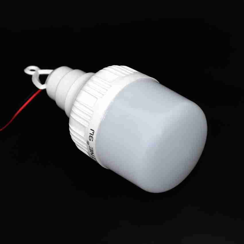  12v Edison LED Light Bulbs White Light Color 12 Volt E26 E27  Base Edison Base Marine RV Light Bulbs Off-Grid Lighting Solar Powered 12 v  LED Bulbs (5w LED Bulb 40w