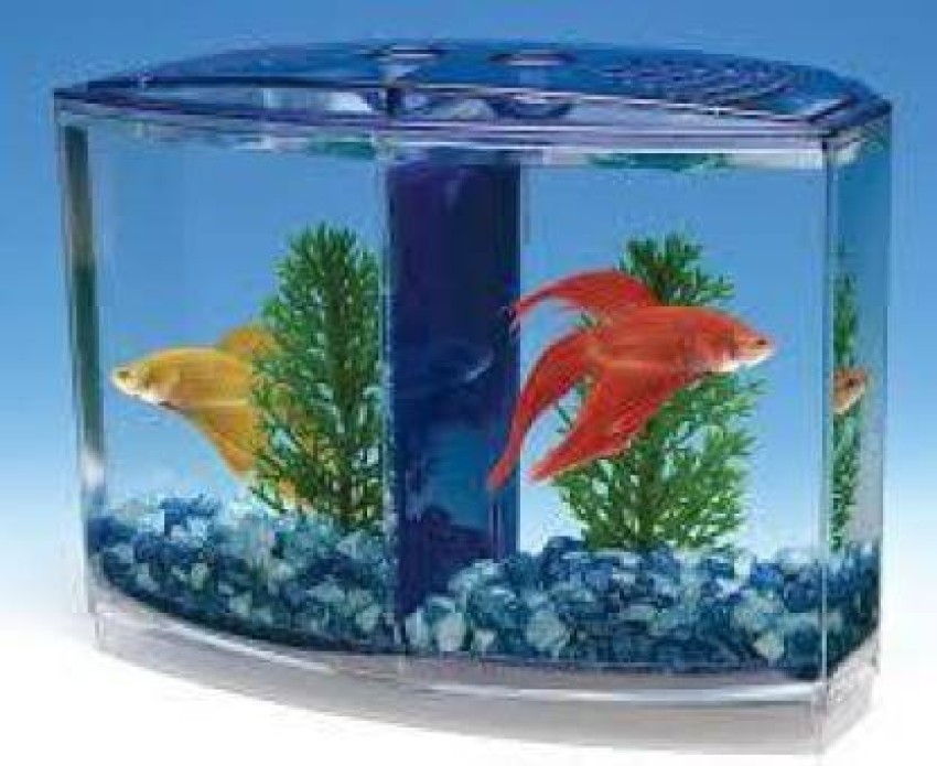 Fish Tank Small Fish Tank Isolation Box Breeding Special Acrylic  Transparent Fish Tank with Pump Filtration Ornamental Fish Tank Desktop  Ornaments