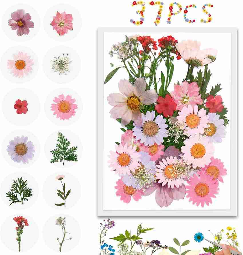 42Pcs Natural Pressed Dried Flowers Resin, Dry Flowers for Resin  Accessories with Tweezer, Dried Flower for Scrapbooking DIY Art Crafts,  Epoxy Resin