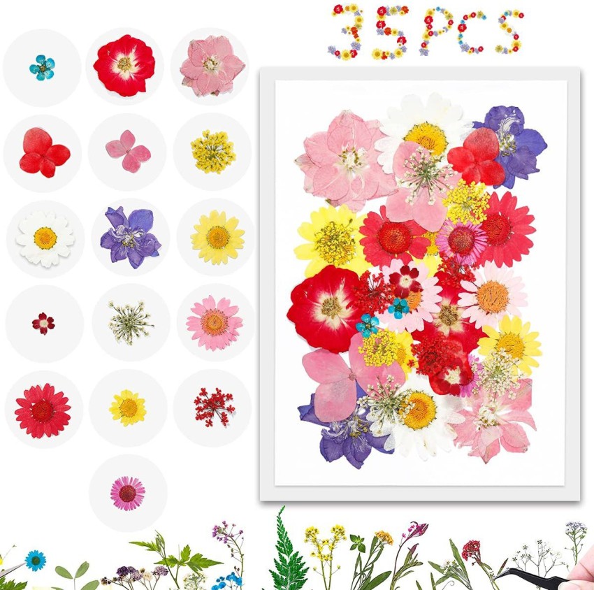 850 PCS Small Dried Flowers for Crafts Resin - Tiny
