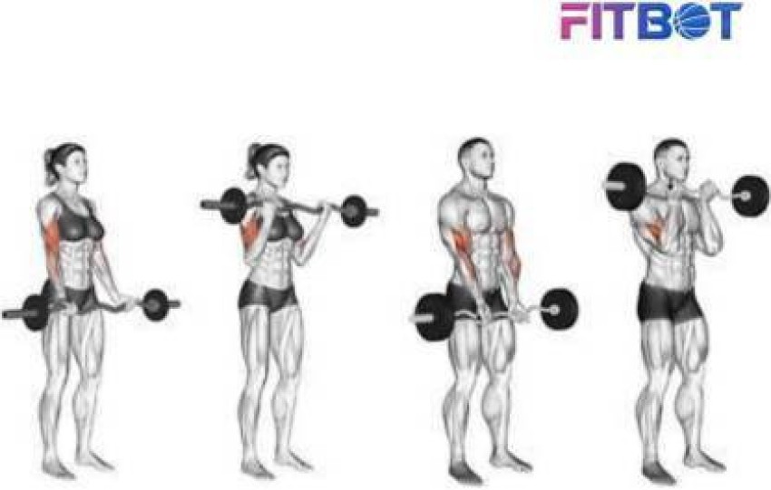 Curl bar bicep discount exercises