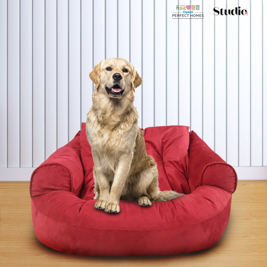 Dog bed flipkart new arrivals