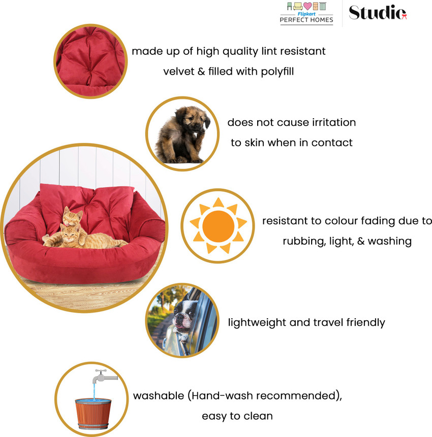 Dogs in store flipkart