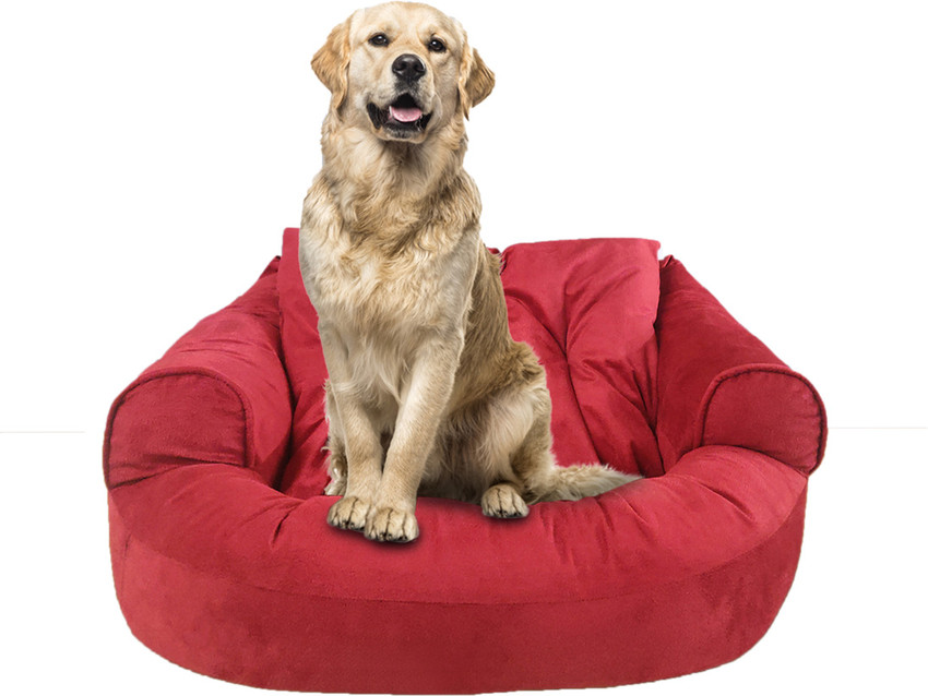 Flipkart shop dog bed