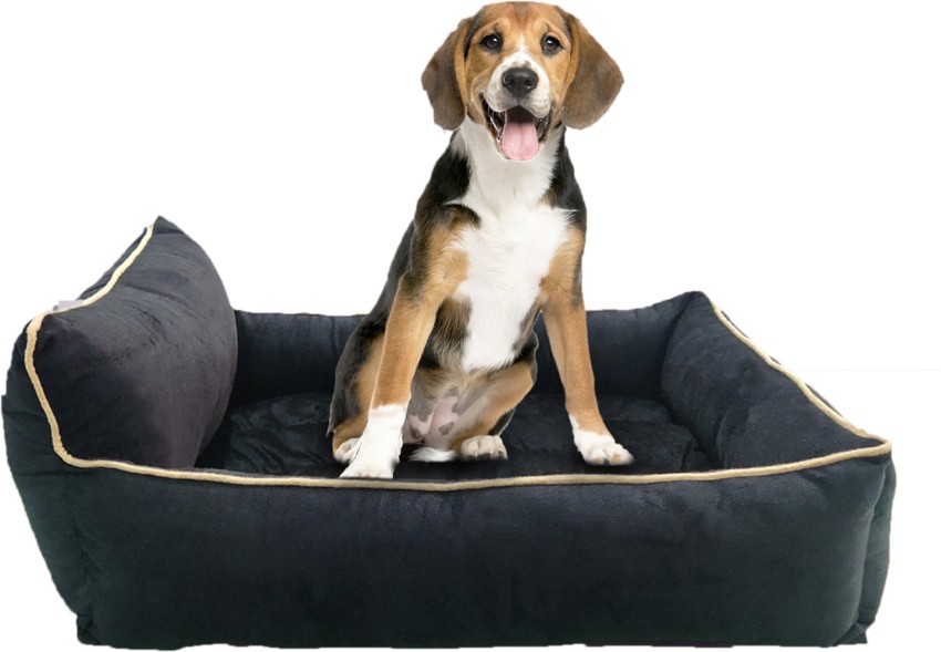 Dog bed 2025 online flipkart