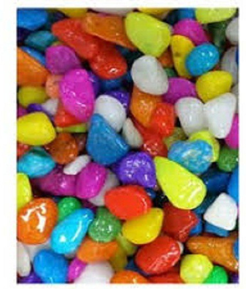 Aquarium shop stone price