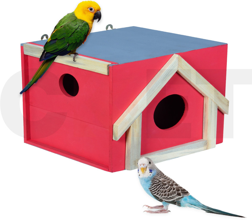 View of Pigeon Bird House