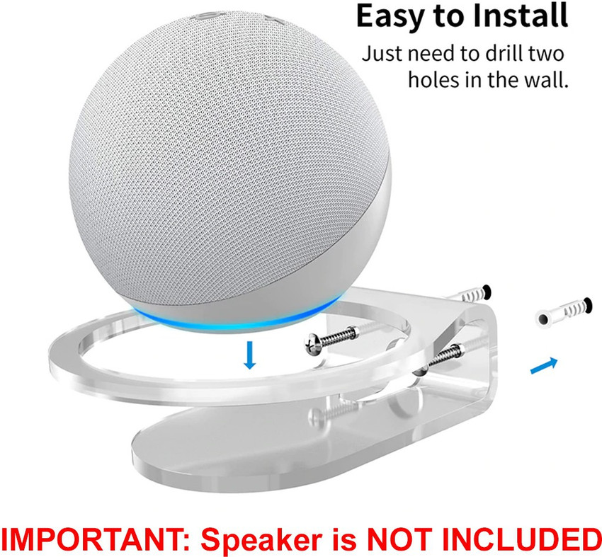 Alexa nest 2025 mini