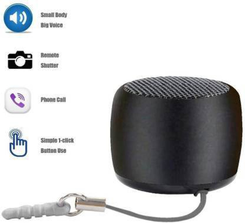 Mini on sale rocker speaker