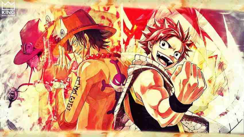 One Piece Fairy Tail Portgas D Ace Dragneel Natsu Anime Series