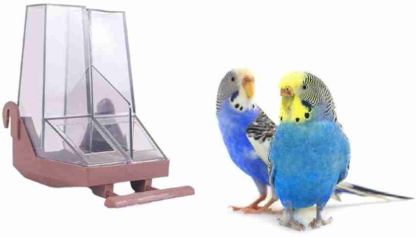 Cockatiel feeder clearance