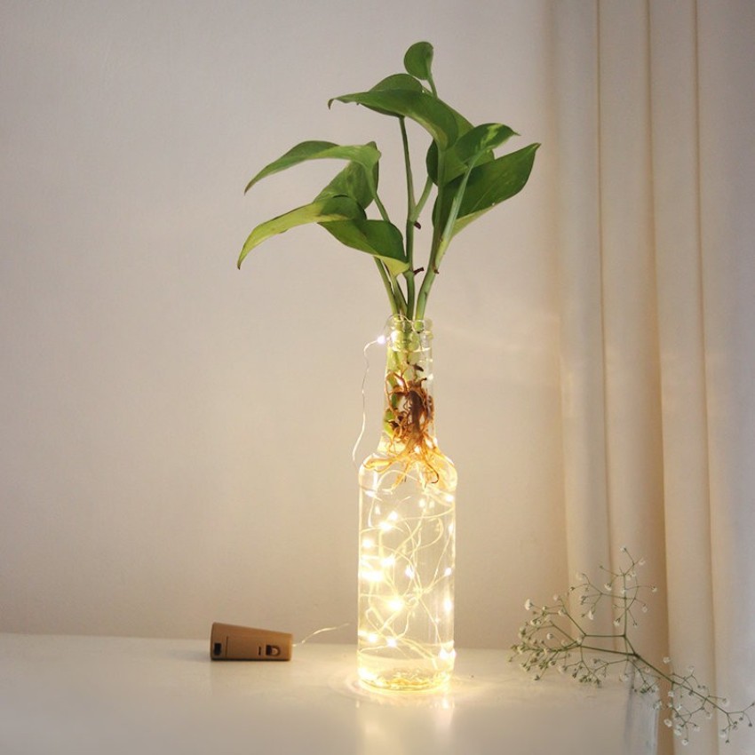 Floweraura Money Plant With Decorative LED Bottle For Home Decor ...