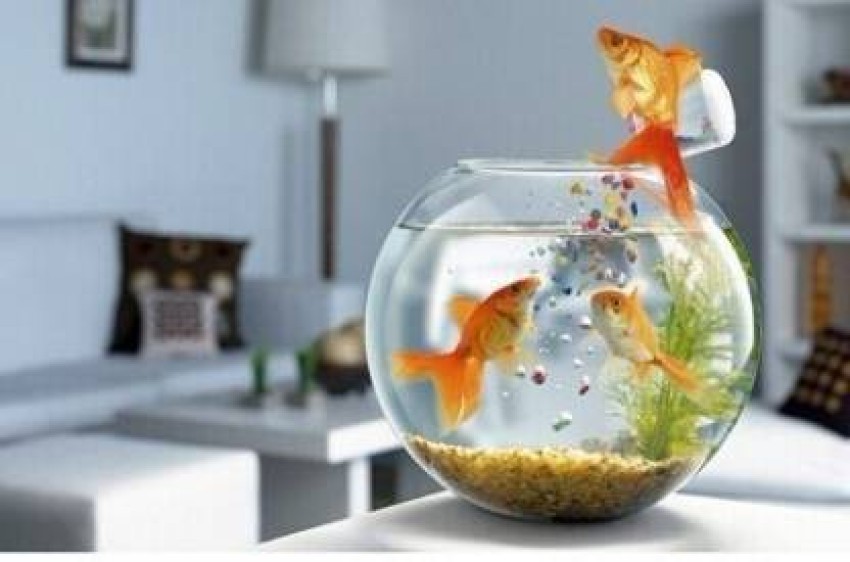 Ararat Artificial Decorative Plastic Floating Moving Fishes for