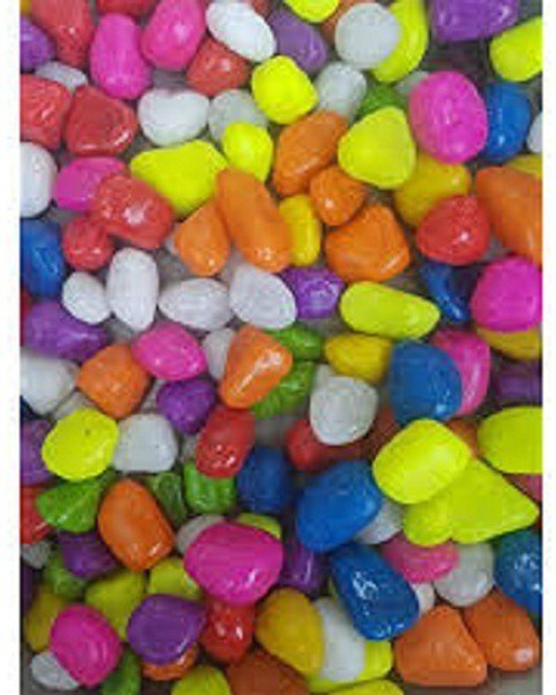 Aquarium shop stone price