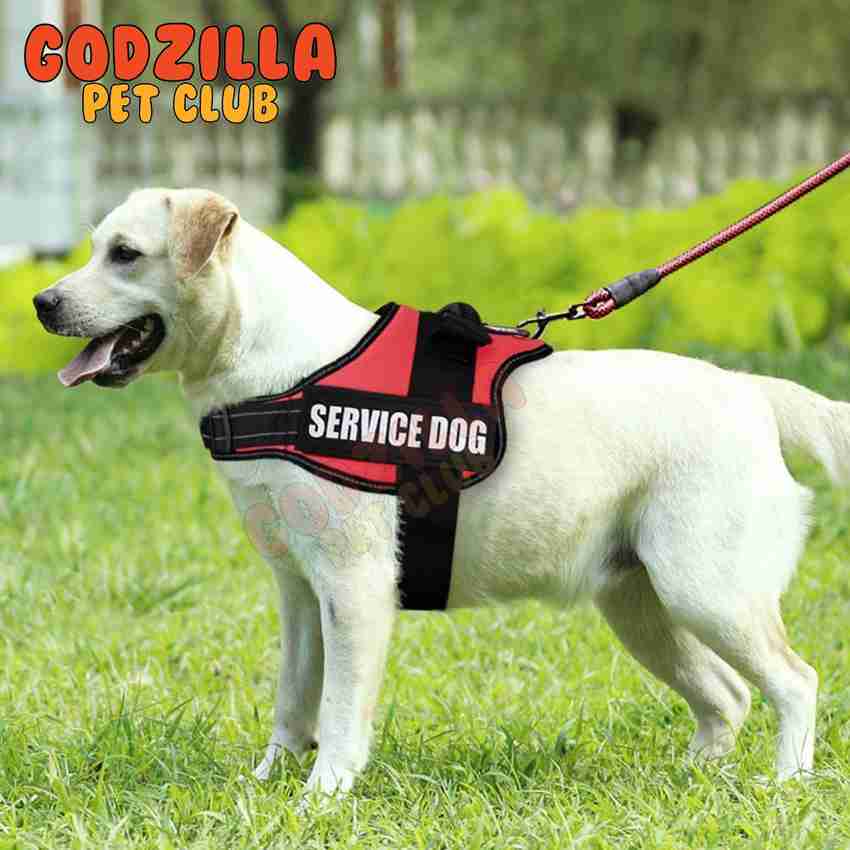 Discount service dog harness with handle Top Sellers