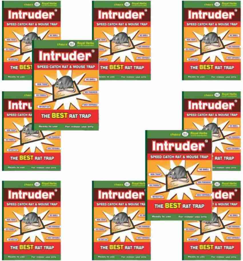 Intruder Economy (Small) Pack of 10 Snap Trap Price in India - Buy Intruder  Economy (Small) Pack of 10 Snap Trap online at
