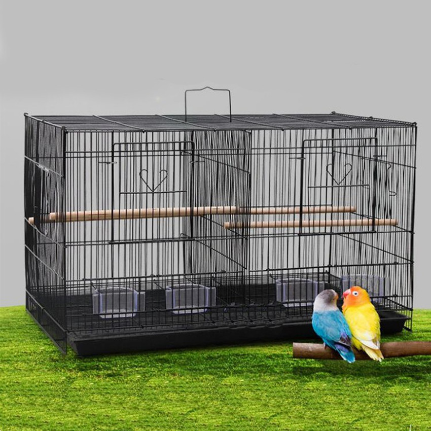 Love Birds Cage Design - Powder Coated Argentine Parakeet Cage Size