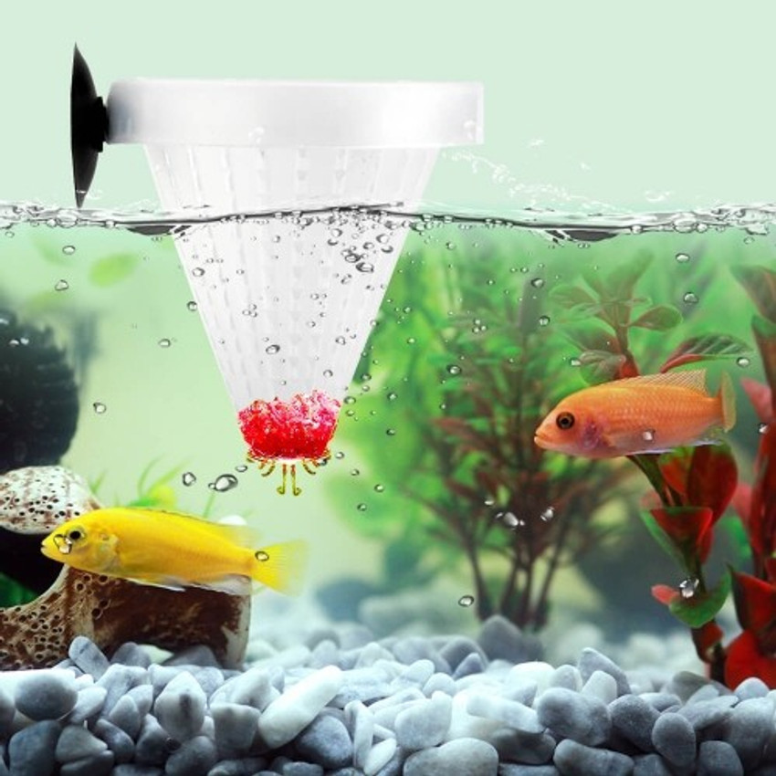 Petzlifeworld Aquarium Tank Live Red Worm Bloodworm Fish Food Feeding Cone Feeder with Suckers 2 Pcs Pack Manual Fish Feeder Price in India Buy Petzlifeworld Aquarium Tank Live Red Worm Bloodworm Fis...