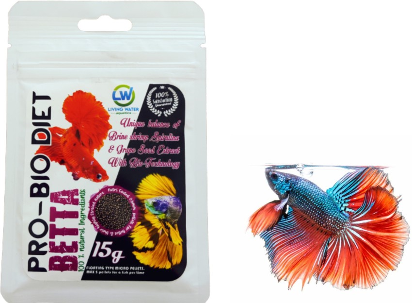 Fighter fish hotsell natural food