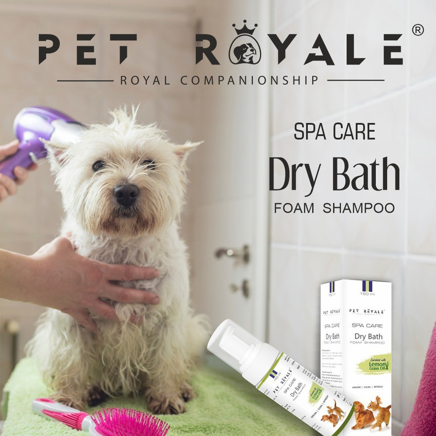 Dog foam shampoo sales