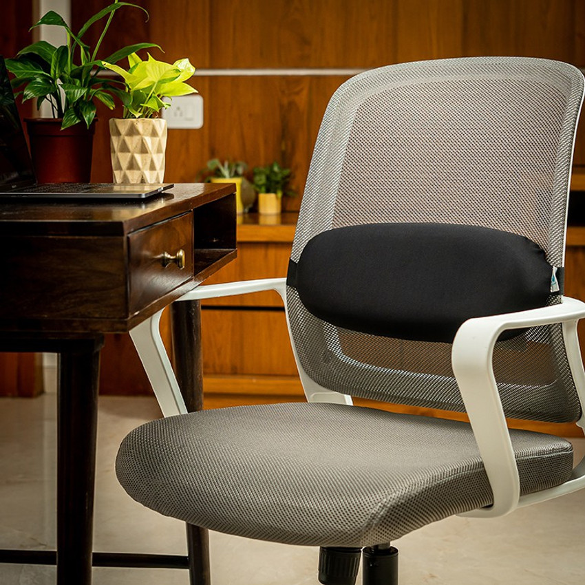 Lumbar support hotsell roll for chair
