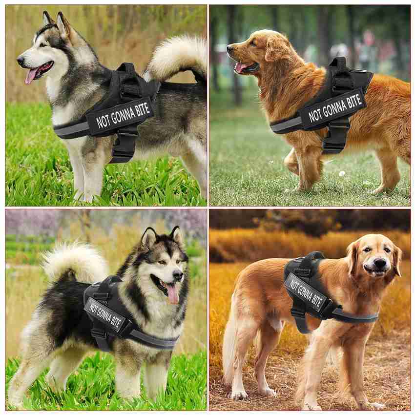 German shepherd on sale dog body belt