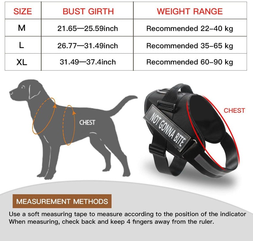 Flip Flops Step-In Dog Harness Large